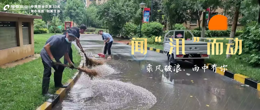 雨中堅守護家園，筑牢汛期安全墻(圖1)