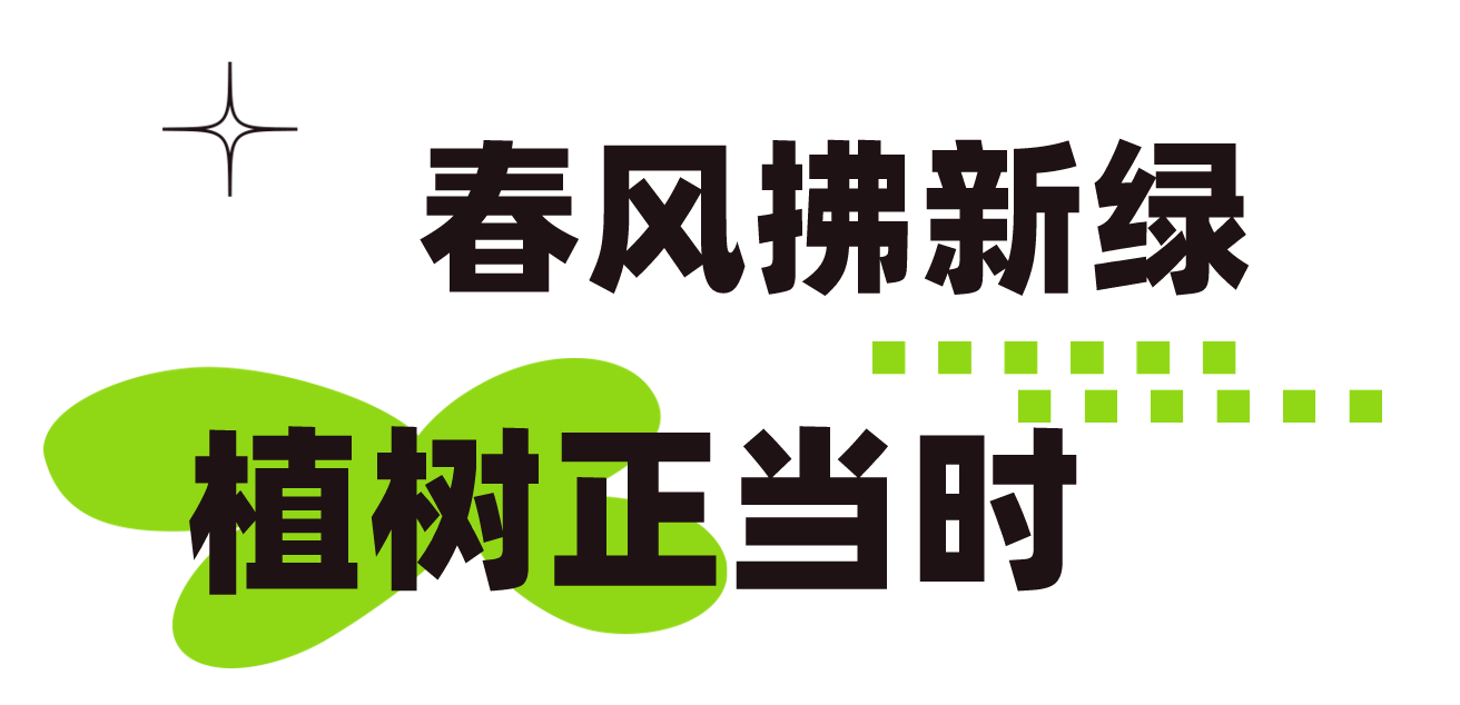 和美睦鄰+ | 隆泰物業(yè)綠色家園植樹(shù)節(jié)活動(dòng)精彩有你(圖2)