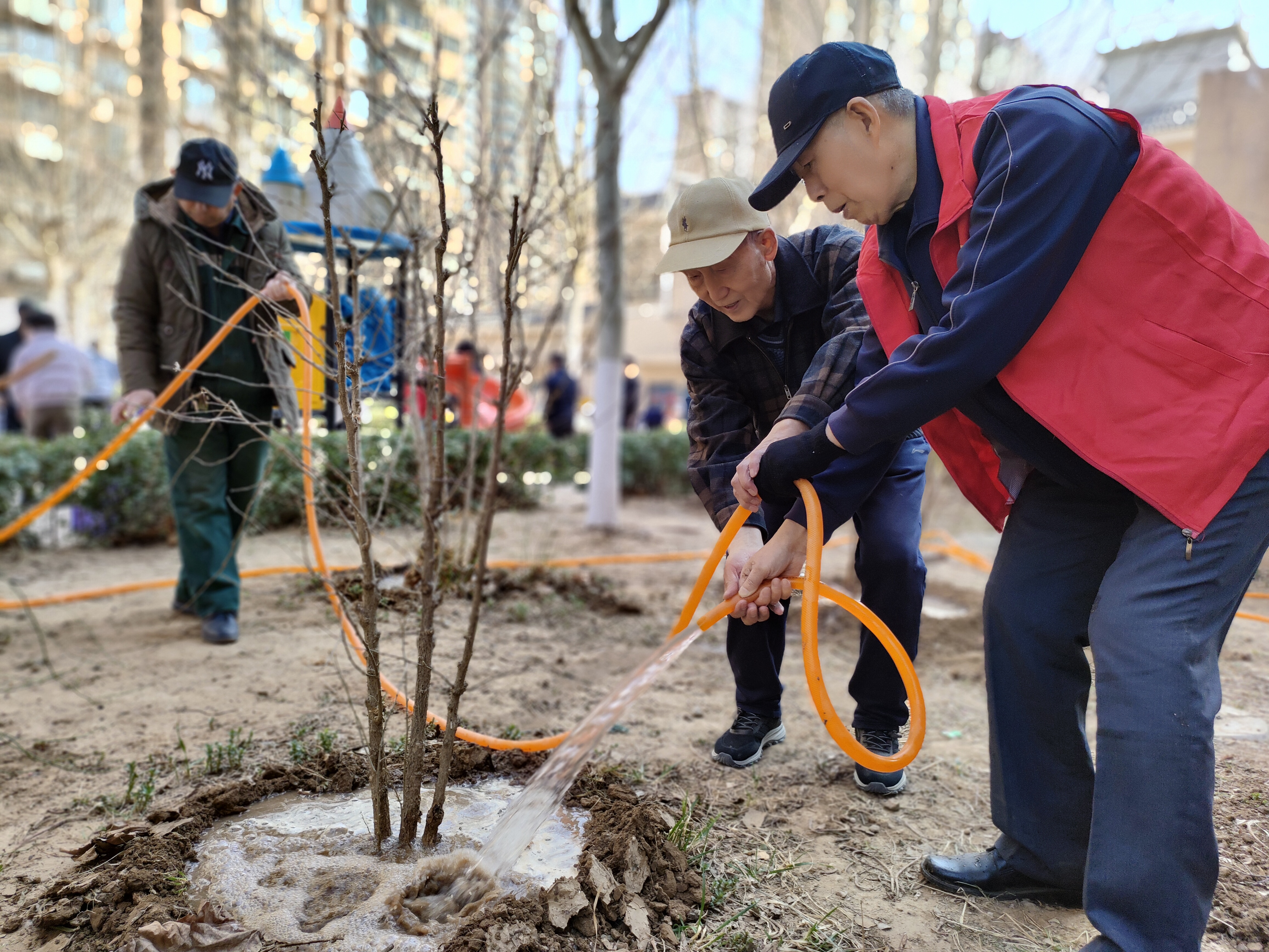 和美睦鄰+ | 隆泰物業(yè)綠色家園植樹(shù)節(jié)活動(dòng)精彩有你(圖3)