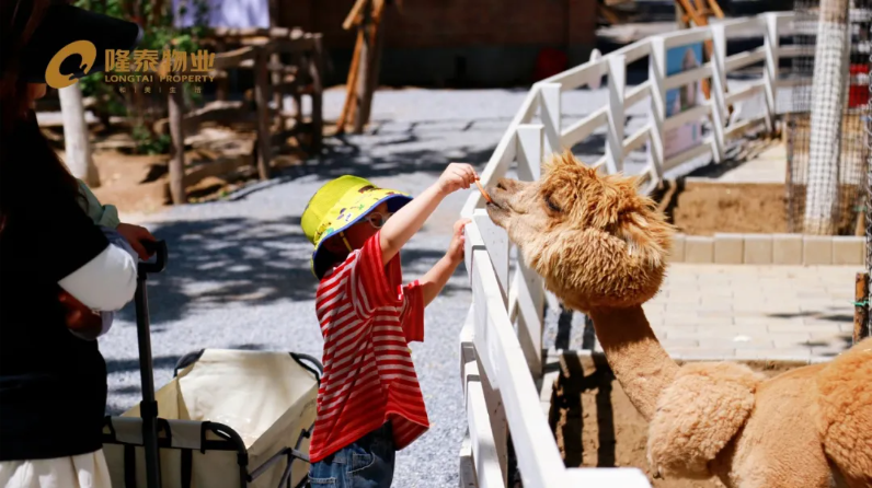 以家之名·與愛同行  隆泰物業(yè)員工家庭日主題活動“童”樣精彩(圖4)